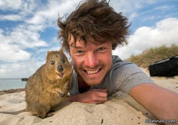 عکس سلفی عکس سلفی