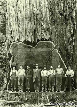 عکسهای قدیمی و جالب 