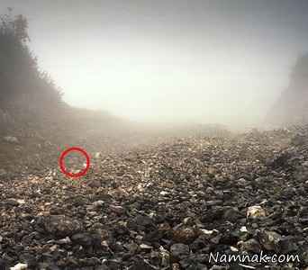 تک تیرانداز مخفی شده در تصویر