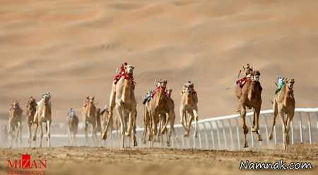 جالبترین تصاویر ورزشی