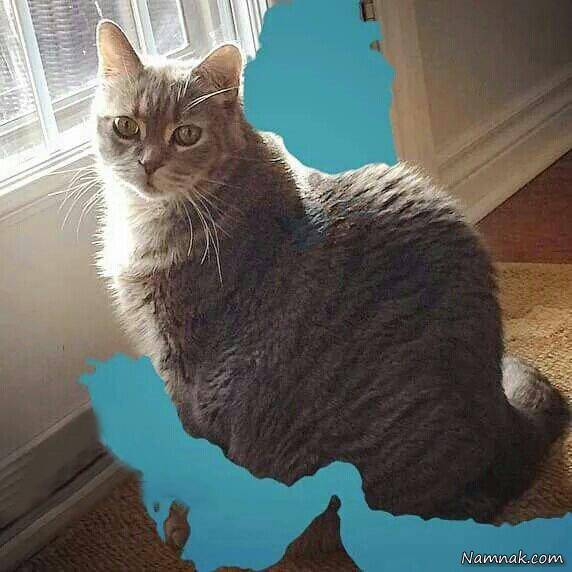 عکس های خنده دار