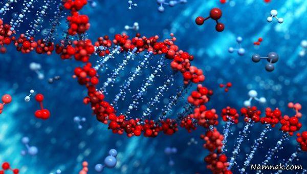 ژن های مختلف در زنان و مردان ژن