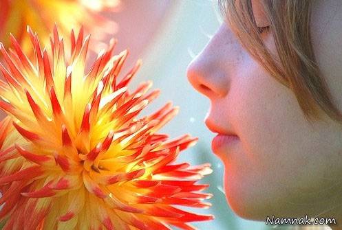 با رایحه گل ها روح خود را درمان کنید استشمام گل ها