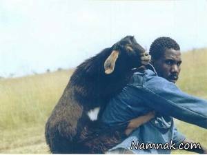 عکس های خنده دار