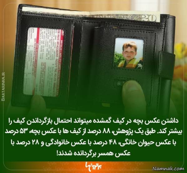 دانستنی های جالب 