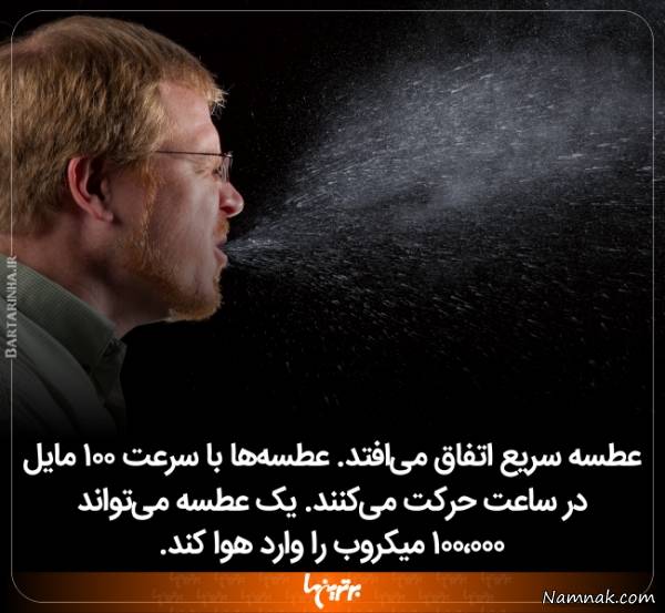 دانستنی های جالب