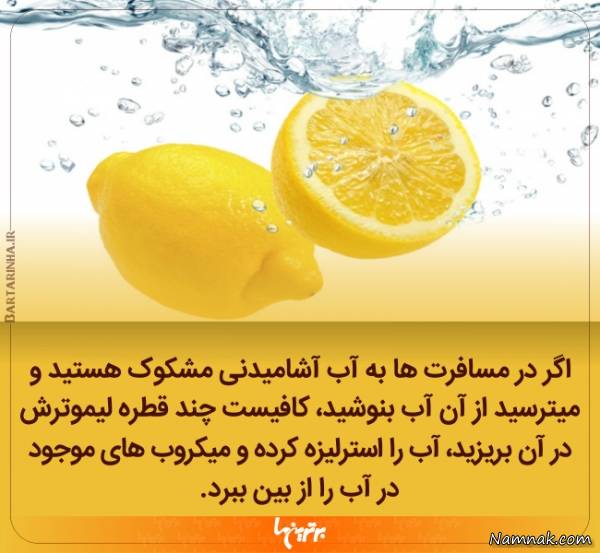 دانستنی های جالب 