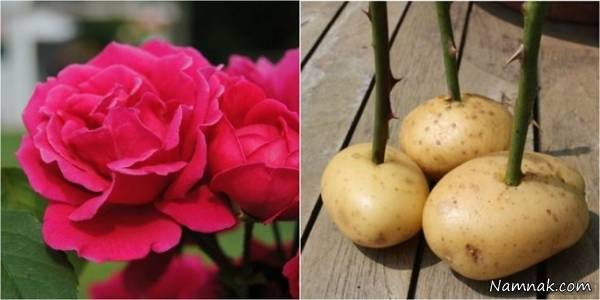 پیشنهادهایی برای آسان کردن کارهای روزمره  آسان کردن کارهای روزمره