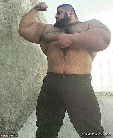 هرکول ایرانی سجاد غریبی سجاد غریبی پدیده پرورش اندام ایران