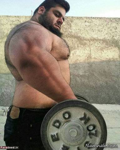 هرکول ایرانی سجاد غریبی سجاد غریبی پدیده پرورش اندام ایران