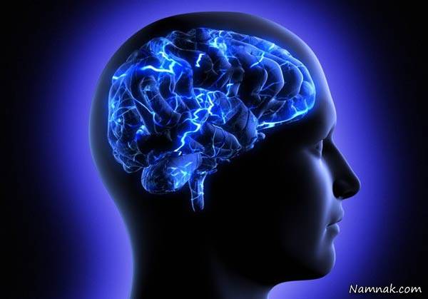 درباره مغز انسان 
