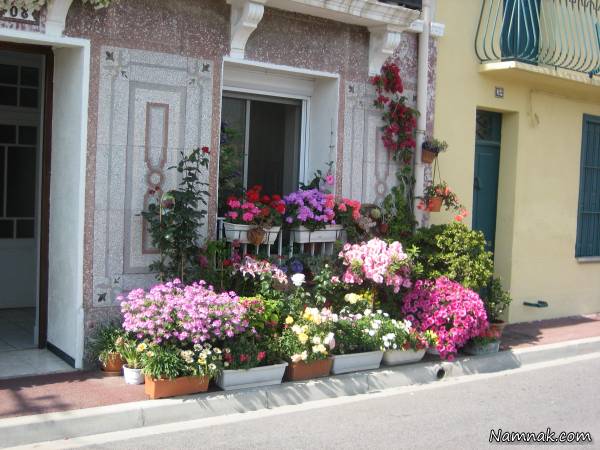 گلخانه های خانگی کوچک بهترین وسیله برای پرورش گیاهان در خانه گلخانه های خانگی