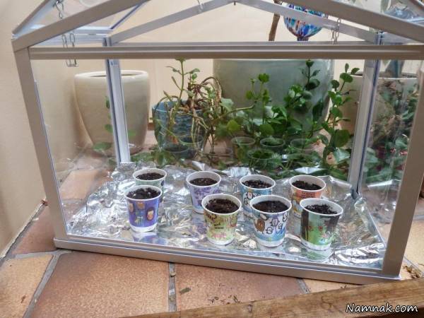 گلخانه های خانگی قابل استفاده در همه جا انواع گلخانه های خانگی