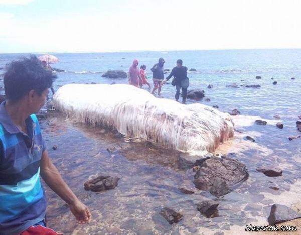 هیولای عجیب