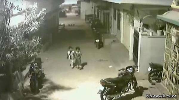 جنگ کودک با سگ جنگ سگ