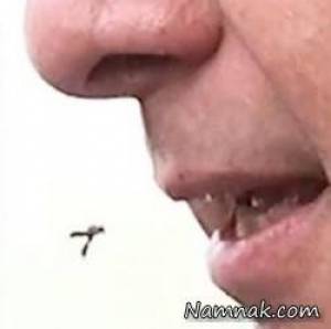 رئیس جمهور