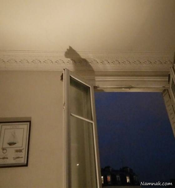 بدون شرح سایه های جالب سایه های جالب