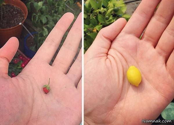 جالب و دیدنی