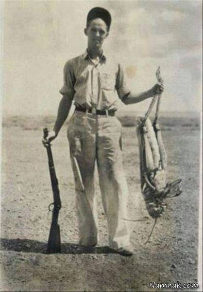 بزرگترین ملخ جهان