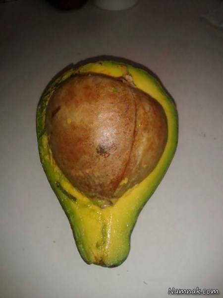 جالب و دیدنی