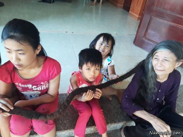 موهای پیرزن