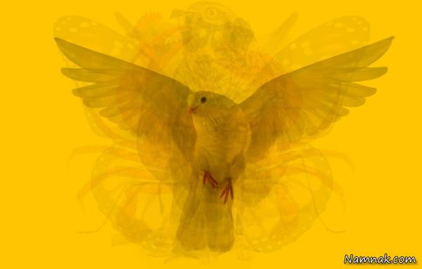 تست شخصیت شناسی عکس تست شخصیت شناسی