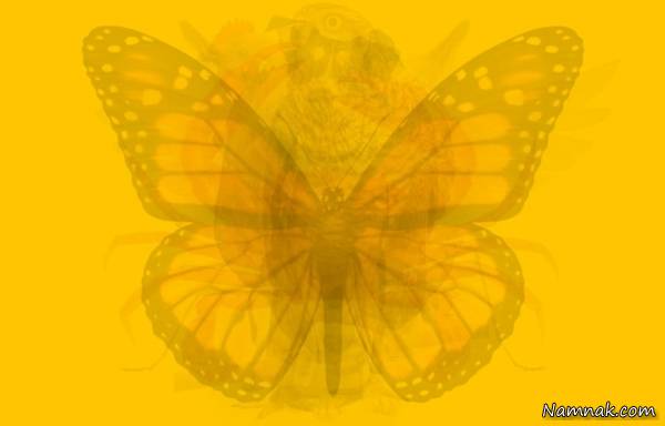 تصویر تست شخصیت شناسی تست شخصیت شناسی