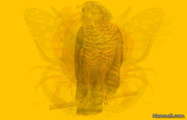 تست شخصیت شناسی جدید تست شخصیت شناسی