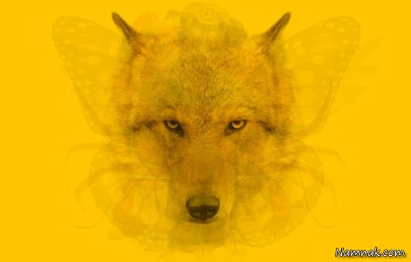 تست شخصیت شناسی تست شخصیت شناسی