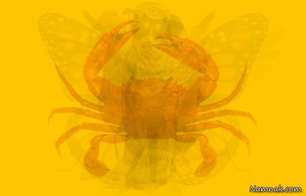 تست شخصیت شناسی تست شخصیت شناسی