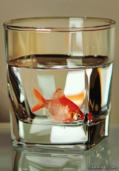 عکس شگفت انگیز