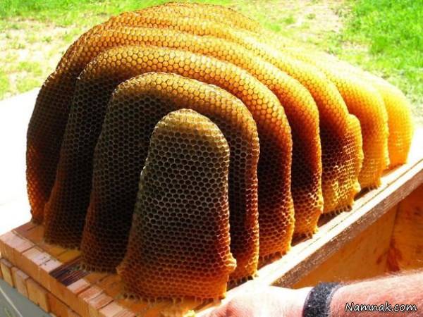 خوردنی و خوراکی زیبا وخوشگل