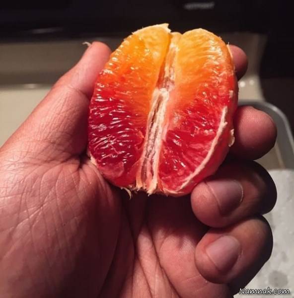 خوردنی و خوراکی زیبا وخوشگل
