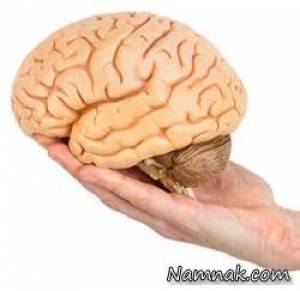 محافظت از مغز