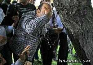 درخت عجیب