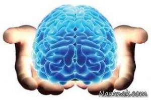 غذای مغز