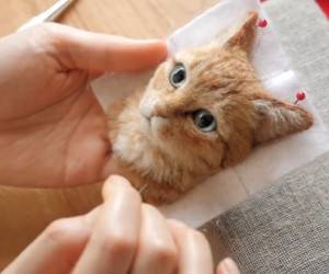 عروسک گربه 3 بعدی