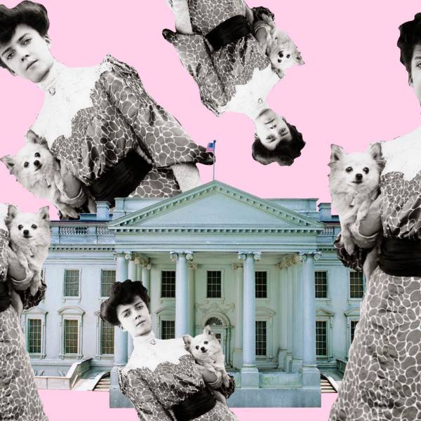 دختر بزرگ بدنام شده تئودور روزولت