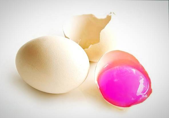 صورتی بودن تخم فلامینگوها