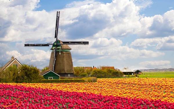 آسیب های بادی نشان خاص هلند