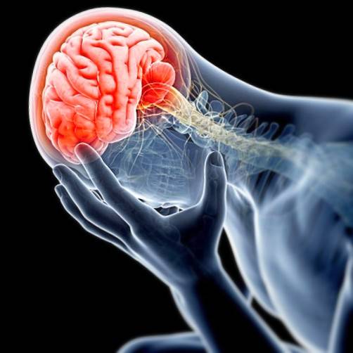 واکنش مغز انسان به درد روانی و احساسی