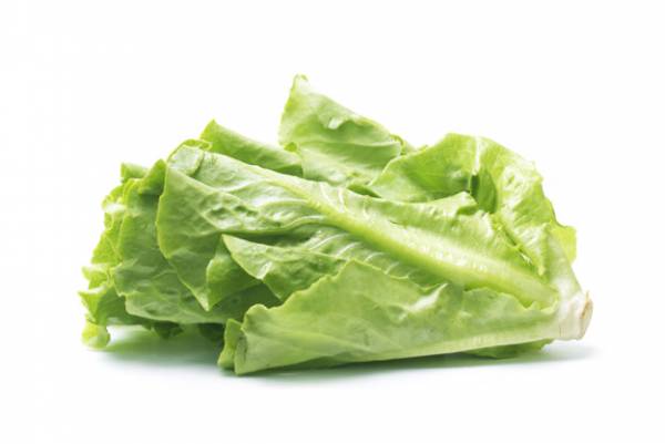 جلوگیری از ریزش و سفید شدن مو با کاهو