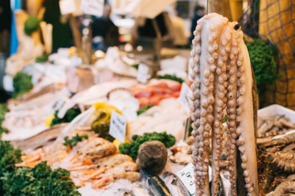 اختاپوس زنده