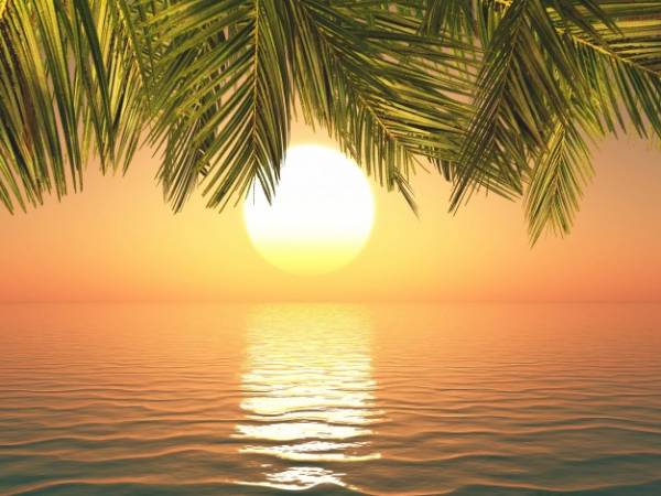 رنگ سفید خورشید