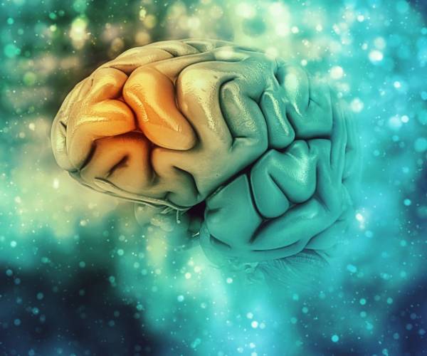 استفاده از مغز