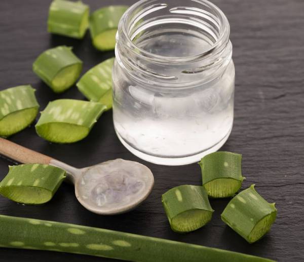 ژل آلوئه ورا